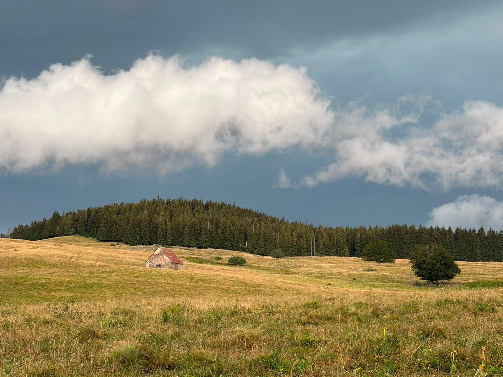 Éclaircie sur une estive après l'orage dans le massif du Sancy